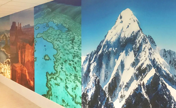 School wall graphics